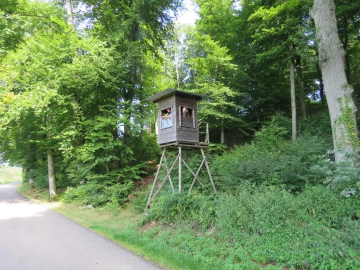 Fine Safari Tent In A Holiday Park, Adjacent To The Forest, Luxembourg At 30 Km Nommern Luxury tent